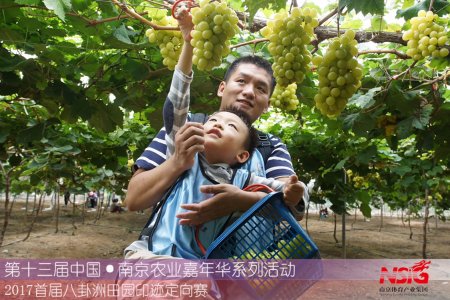 万博体育