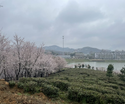 万博体育