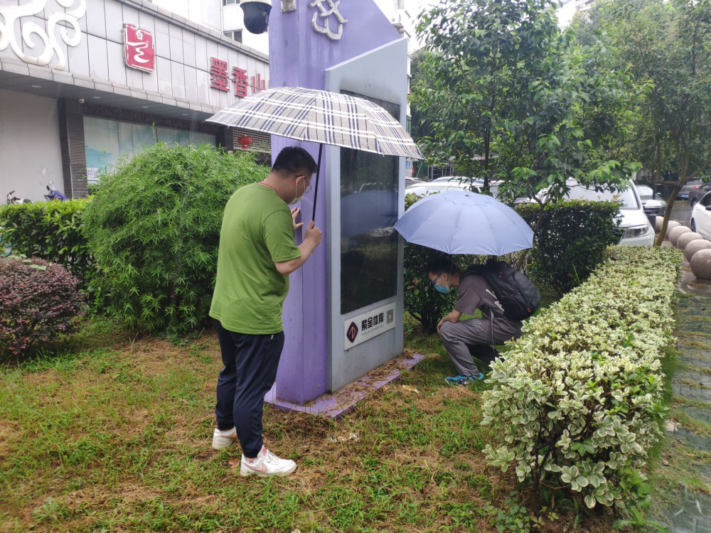 万博体育