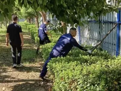 万博体育