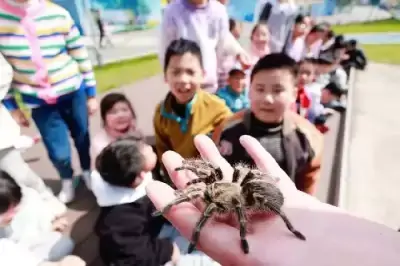 万博体育