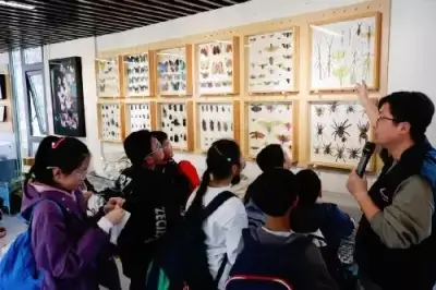 万博体育