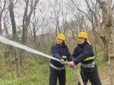 万博体育