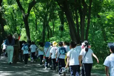 万博体育